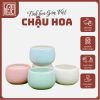 Chậu gốm sứ trồng cây cảnh, sen đá mini để bàn dáng hạt dẻ thiết kế độc đáo, chất liệu bền đẹp