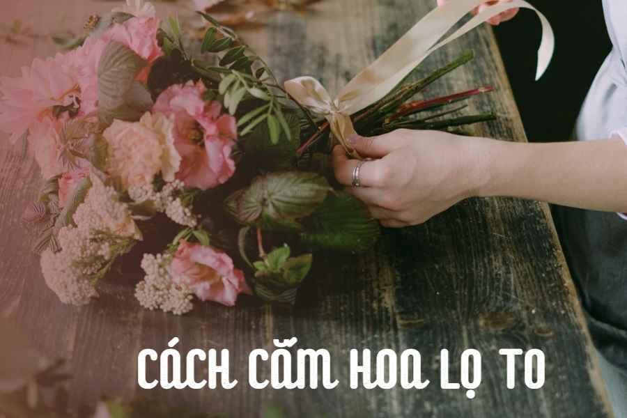 cach-cam-hoa-lo-to