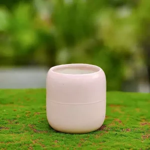 chau-gom-nho1