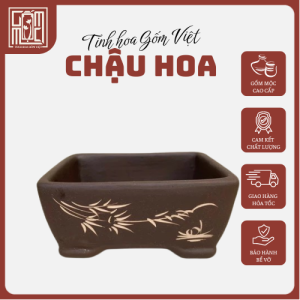 chau-gom12